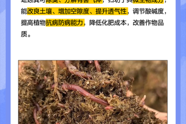 蚯蚓的九条命:生命力的象征与启发 蚯蚓的九条命:生命力的象征与启发