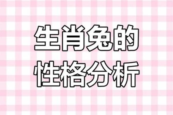 属兔人的命运解析：哪些命格让他们难以顺遂？