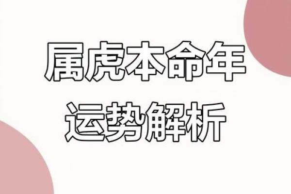 属虎的人火命如何破太岁，化解运势困扰的智慧