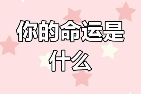 根据命格选择生肖,助你趋吉避凶,开启美好人生之旅! 根据命格选择生肖,助你趋吉避凶,开启美好人生之旅!