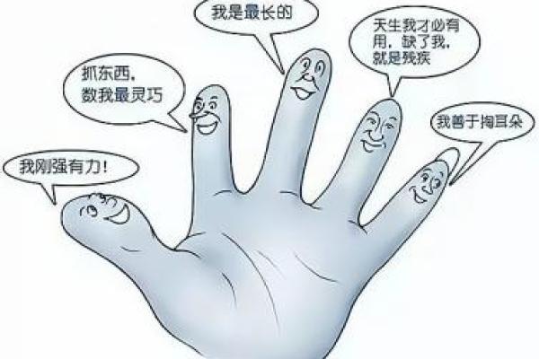 解读“命是空调给”的深刻寓意与人生哲学