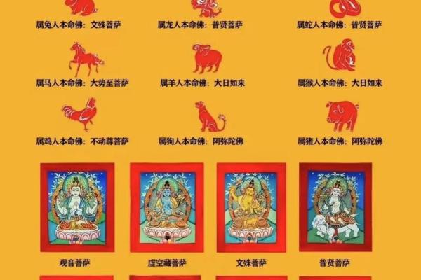 属相与福命：揭秘哪些男孩最具好运气！