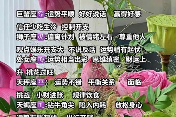 十二星座未来运势解析：命运之旅，谁主沉浮？