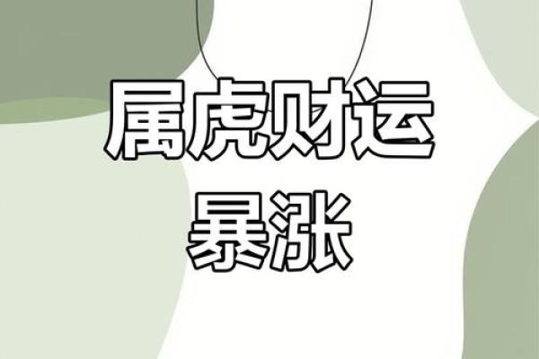 属虎的朋友2023年吉星照命运解析：迎向成功与挑战的旅程！