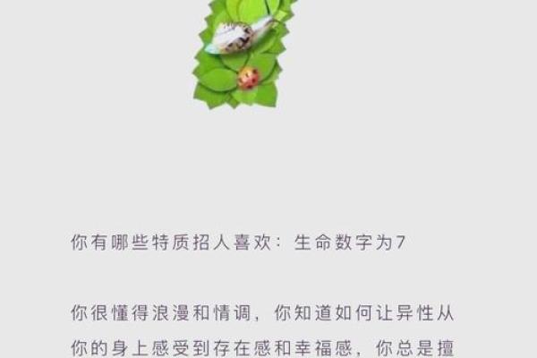 农历1974年出生的人命运解析：探寻属于你的生命密码