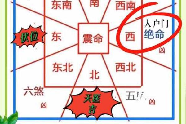 木命人挂风水画的位置选择指南，助你气运亨通！