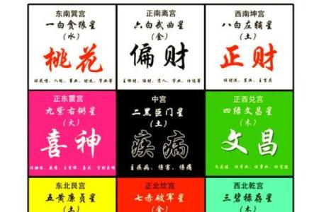 深入探讨女命流年食财的意义与影响