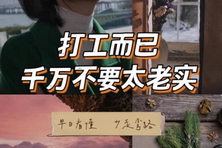 属狗的人为何不适合过打工生活？揭开背后的秘密！