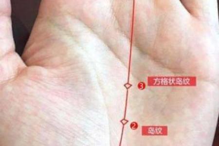 手心中有方格纹的命运解析：你是个特别的人吗？