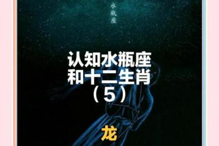 属龙之命：火命与水命深度解析，探讨命运与性格！