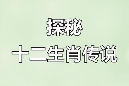 生肖中的神秘：只有六个月命的生肖传说
