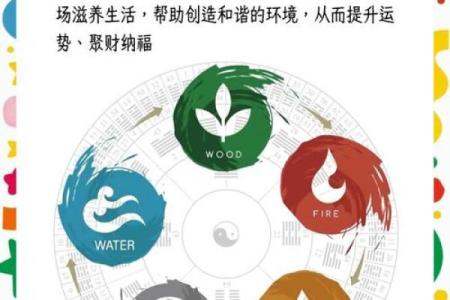 石榴木命的客厅装饰：如何选择适合的挂画提升气场