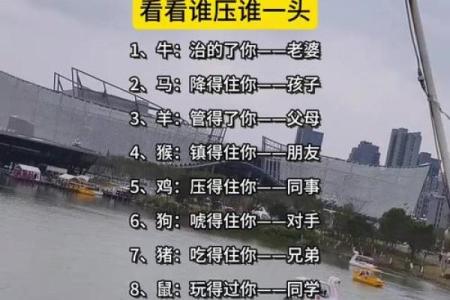 哪个属相的人最相信他人？探究与信任的关系