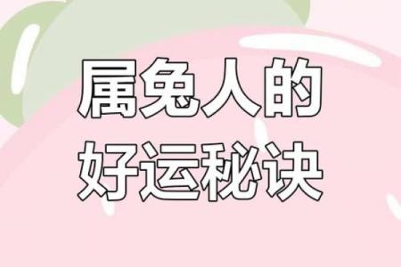 属兔人的命运解析：哪些命格让他们难以顺遂？