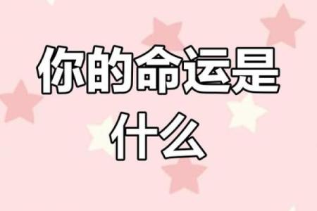 根据命格选择生肖，助你趋吉避凶，开启美好人生之旅！