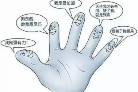 解读“命是空调给”的深刻寓意与人生哲学