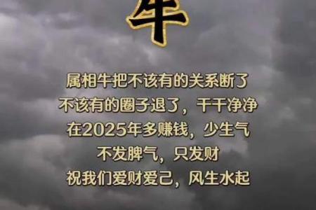 属牛的2023年：三十八岁的命运与人生启示