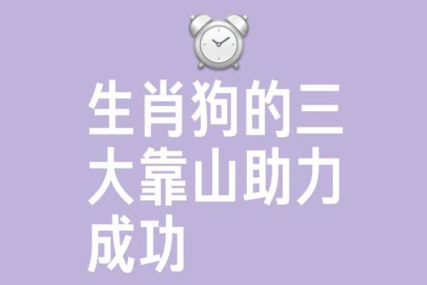 属狗的虎夜行：命运与性格的奇妙交织