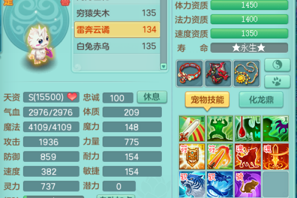 神武WS带什么命格？全面解析助你提升战斗力