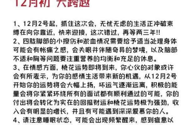 生肖鼠命格解析：探索鼠年命主的性格与命运密码
