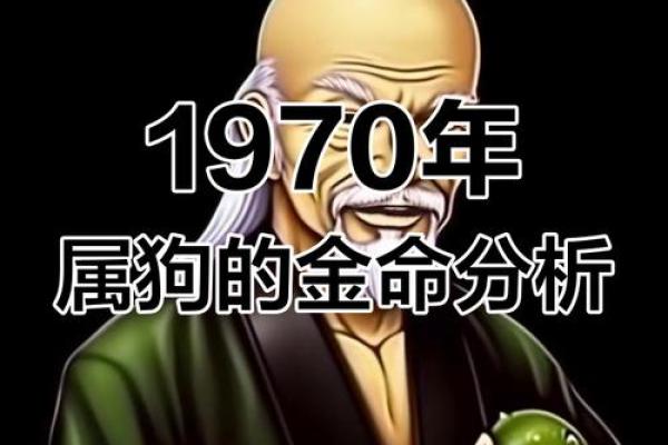 七五年属狗人:命运解读与人生指南 七五年属狗人:命运解读与人生指南