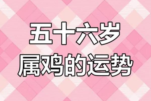 女性属鸡命运解析：智慧与魅力的完美结合