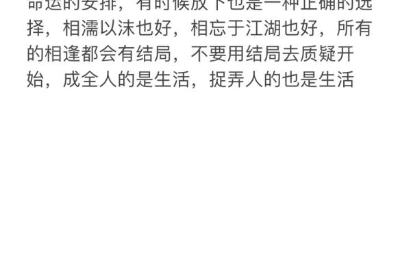 拼了命的忘却：在失去中寻找自我的旅程