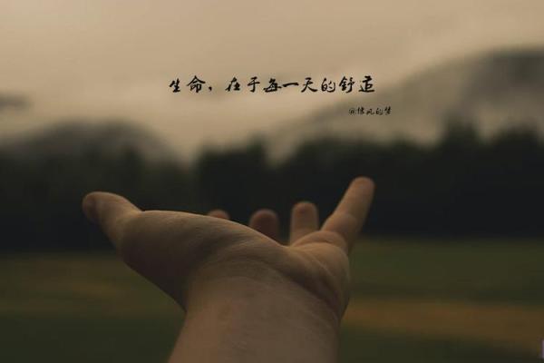 女人有原则的命格：如何成就自我与人生的高度