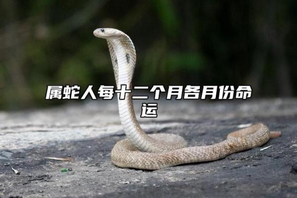 农历5月25日出生的男生命运解析:发现你的天赋和潜力 农历5月25日出生的男生命运解析:发现你的天赋和潜力