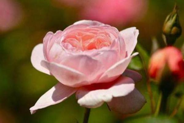 农历5月25日出生的男生命运解析:发现你的天赋和潜力 农历5月25日出生的男生命运解析:发现你的天赋和潜力