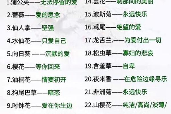 花语解读：惜命之花，教会我们珍惜生命的意义