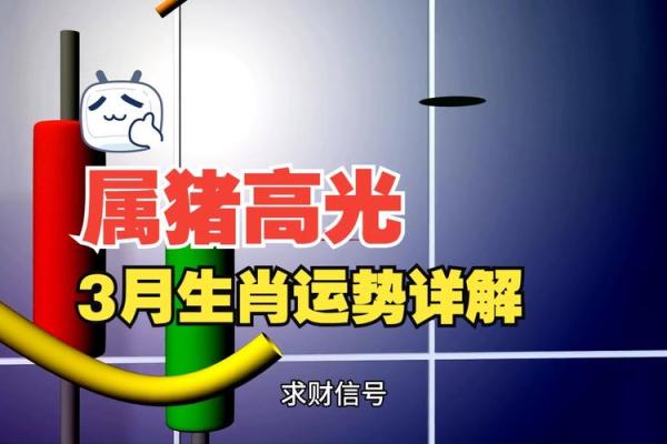 属猪的命运解析：从三点出生谈猪年之人命好之道
