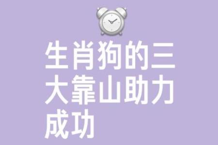 属狗的虎夜行：命运与性格的奇妙交织