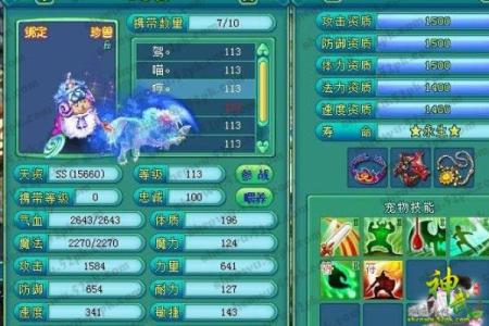 神武WS带什么命格？全面解析助你提升战斗力