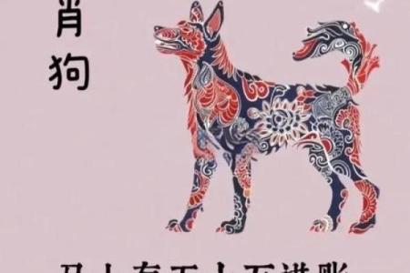 七五年属狗人：命运解读与人生指南