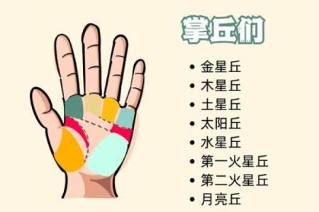 男人手相揭秘：从手掌看出你的命运与前途