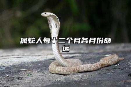 农历5月25日出生的男生命运解析：发现你的天赋和潜力