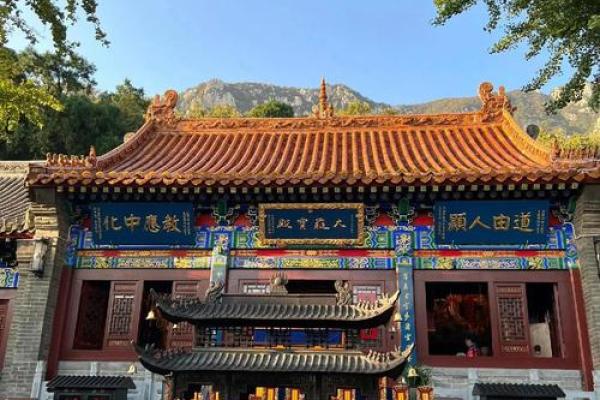 逆天改命：在动物界中谁能称霸？探索最强动物的秘密