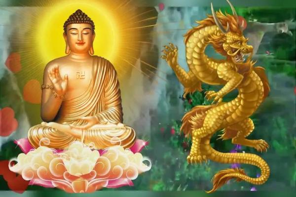 属龙64年:探究其命理与人生路上的智慧启示 属龙64年:探究其命理与人生路上的智慧启示