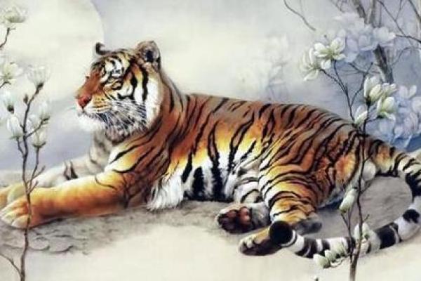 属虎1962年命理解析:勇猛与智慧并存的人生之路 属虎1962年命理解析:勇猛与智慧并存的人生之路