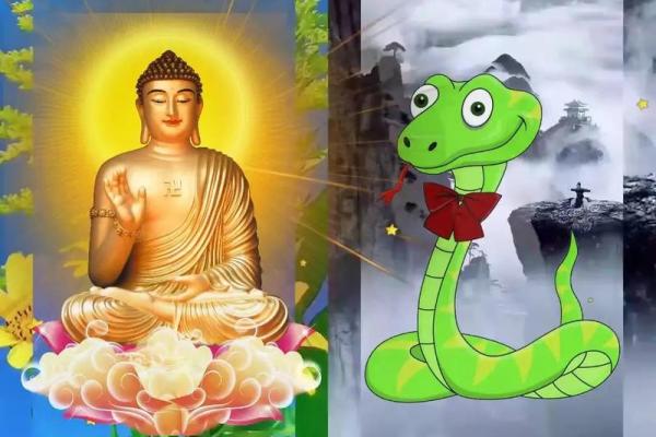 属蛇1977年出生的命运解析与人生智慧