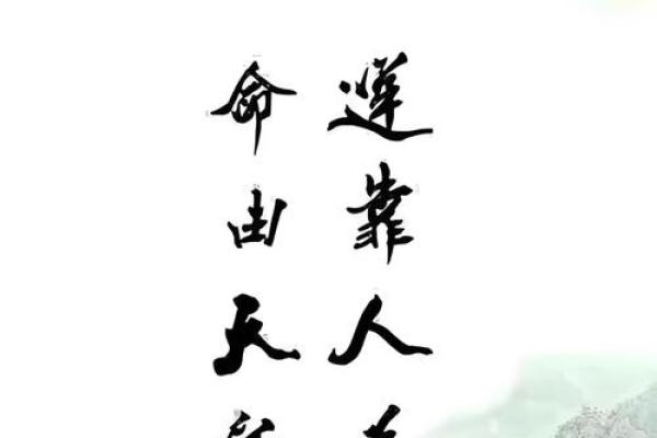 八字命理师必备特质：你的命中注定吗？