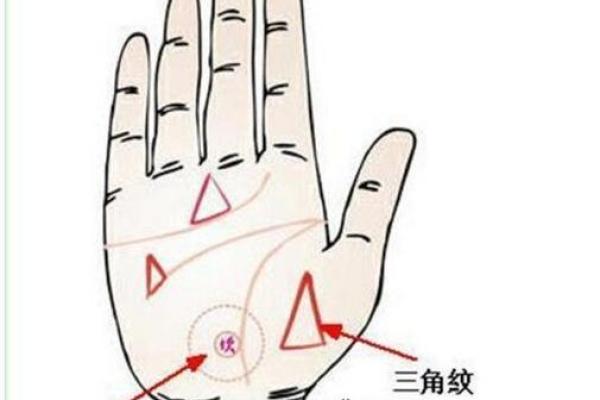 揭秘发财手相:如何从手相看出你的财富命运 揭秘发财手相:如何从手相看出你的财富命运