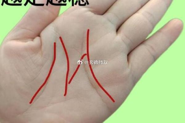 揭开手纹中的秘密：金星线与命运的奥秘