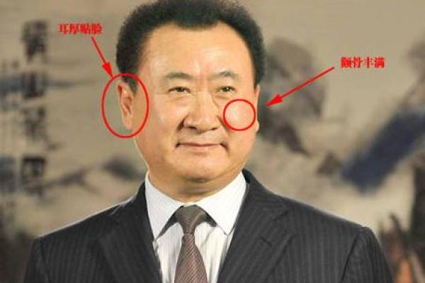 揭示富豪命的面相特征,助你识别潜在赢家! 揭示富豪命的面相特征,助你识别潜在赢家!