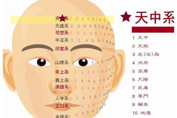 揭开十二星座的命运之谜:每月出生的人有何不同命运? 揭开十二星座的命运之谜:每月出生的人有何不同命运?