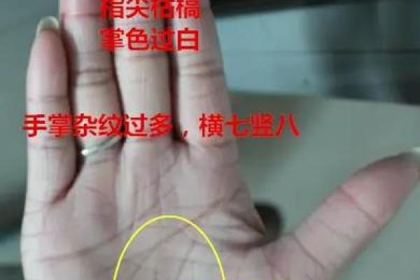 手相揭秘:掌中小元宝,富贵之命的真相! 手相揭秘:掌中小元宝,富贵之命的真相!