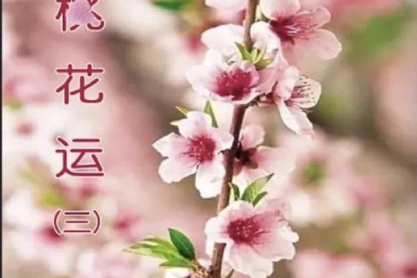 命里没有桃花，如何逆转爱情运势？