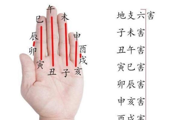 揭秘四柱八字中的三刑与命运之谜 揭秘四柱八字中的三刑与命运之谜