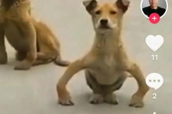 乞丐与富贵命:一段引人深思的电影旅程 乞丐与富贵命:一段引人深思的电影旅程